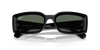 [Dark Green Lenses, Polished Black Frame]