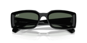 Dark Green Lenses, Polished Black Frame