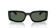 Dark Green Lenses, Polished Black Frame