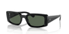 [Dark Green Lenses, Polished Black Frame]