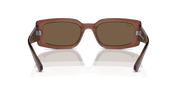 Dark Brown Lenses, Polished Transparent Brown Frame