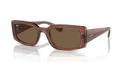 Dark Brown Lenses, Polished Transparent Brown Frame