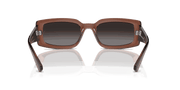 Grey Lenses, Polished Transparent Brown Frame