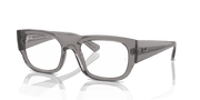 Clear Lenses, Polished Transparent Grey Frame