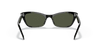 [Green Lenses, Polished Black Frame]