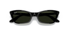 [Green Lenses, Polished Black Frame]