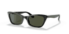 [Green Lenses, Polished Black Frame]