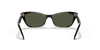 [Green Lenses, Polished Havana Frame]