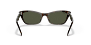 Green Lenses, Polished Havana Frame