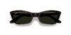 [Green Lenses, Polished Havana Frame]