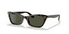 [Green Lenses, Polished Havana Frame]