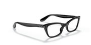 Clear Lenses, Polished Black Frame