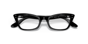 Clear Lenses, Polished Black Frame