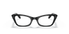 [Clear Lenses, Polished Black Frame]