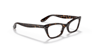 Clear Lenses, Polished Havana Frame