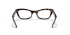 [Clear Lenses, Polished Havana Frame]