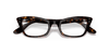 [Clear Lenses, Polished Havana Frame]