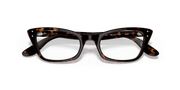 Clear Lenses, Polished Havana Frame