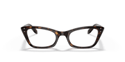 Clear Lenses, Polished Havana Frame