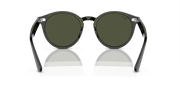 Green Lenses, Polished Black Frame