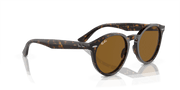 Brown Lenses, Polished Havana Frame