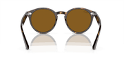 Brown Lenses, Polished Havana Frame