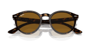 Brown Lenses, Polished Havana Frame