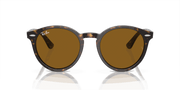 Brown Lenses, Polished Havana Frame