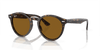 [Brown Lenses, Polished Havana Frame]