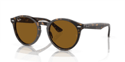 Brown Lenses, Polished Havana Frame