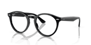 Clear Lenses, Polished Black Frame