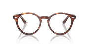 Clear Lenses, Polished Striped Havana Frame