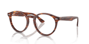 Clear Lenses, Polished Striped Havana Frame