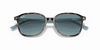 [Blue Lenses, Polished Havana On Light Blue Frame]