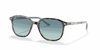 [Blue Lenses, Polished Havana On Light Blue Frame]