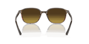 Brown Lenses, Polished Striped Brown & Red Frame