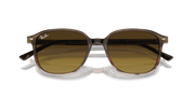 Brown Lenses, Polished Striped Brown & Red Frame