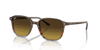 [Brown Lenses, Polished Striped Brown & Red Frame]