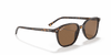 [B-15 Brown Lenses, Polished Tortoise Frame]