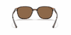 [B-15 Brown Lenses, Polished Tortoise Frame]