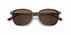 [B-15 Brown Lenses, Polished Tortoise Frame]