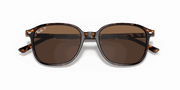 B-15 Brown Lenses, Polished Tortoise Frame