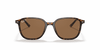 [B-15 Brown Lenses, Polished Tortoise Frame]