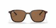 B-15 Brown Lenses, Polished Tortoise Frame