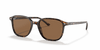 [B-15 Brown Lenses, Polished Tortoise Frame]