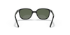 [Dark Green Lenses, Polished Black Frame]