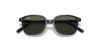 [Dark Green Lenses, Polished Black Frame]