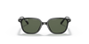 [Dark Green Lenses, Polished Black Frame]