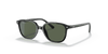 [Dark Green Lenses, Polished Black Frame]