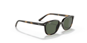 Dark Green Lenses, Polished Havana Frame